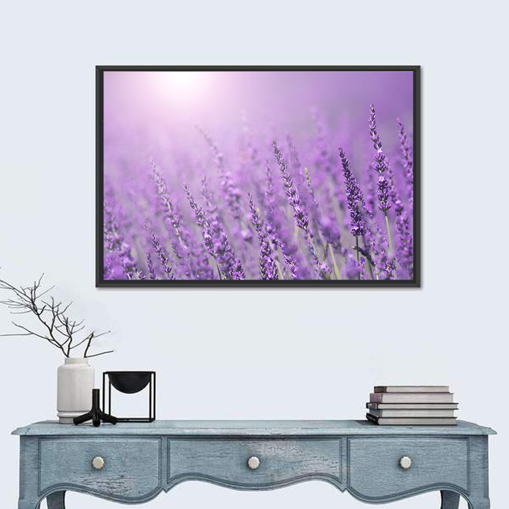 Sunlit Lavender Field Wall Art in a room, landscape