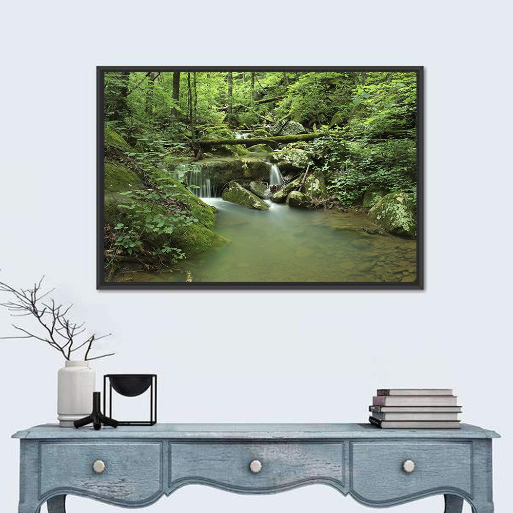 Arkansas Forest Stream Wall Art in a room, landscape