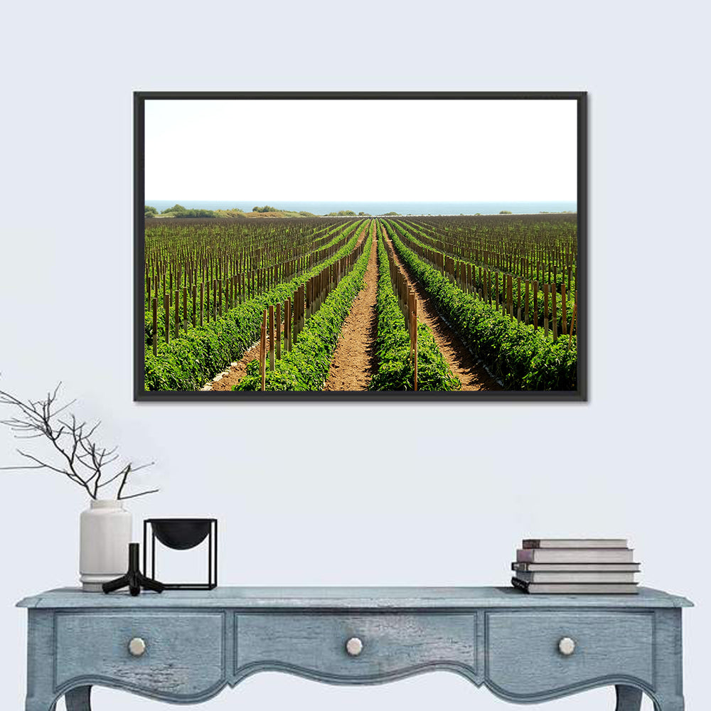 Tomato Fields Wall Art