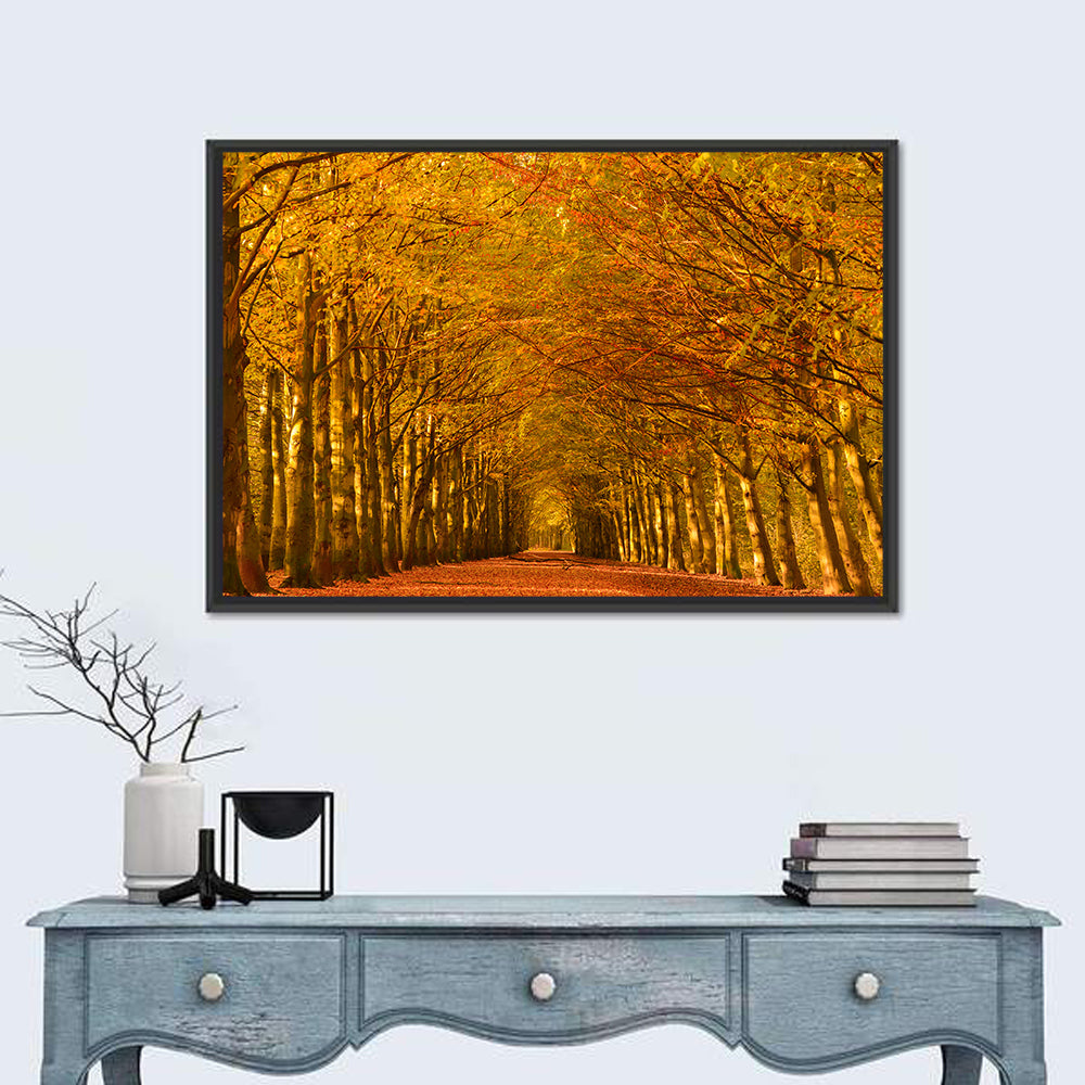 Golden Beech Tree Tunnel in Autumn Wall Art in a room, landscape