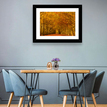Golden Beech Tree Tunnel in Autumn Wall Art