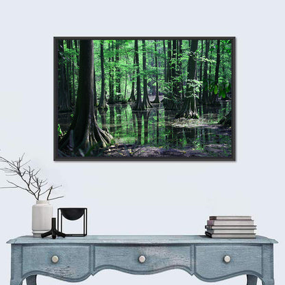 Congaree Swamp Reflection Wall Art