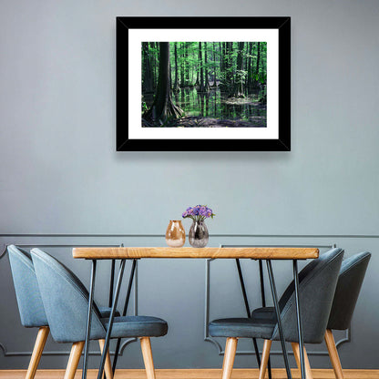 Congaree Swamp Reflection Wall Art