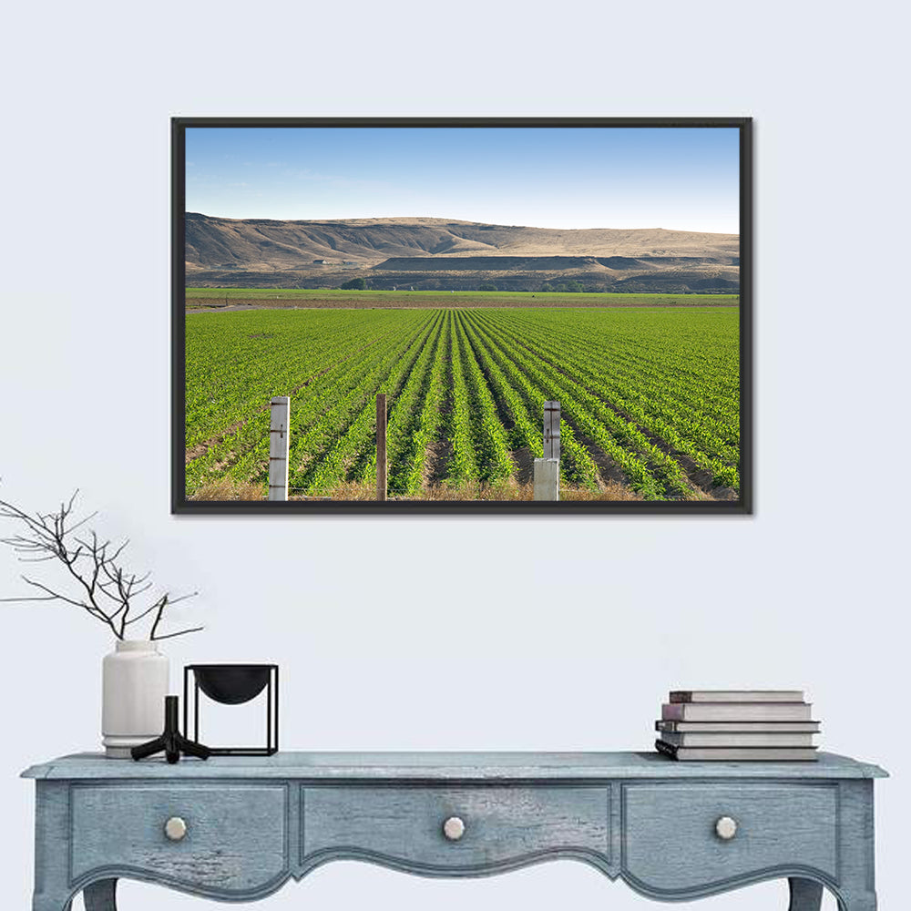 Idaho Corn Field Wall Art