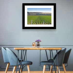 Idaho Corn Field Wall Art