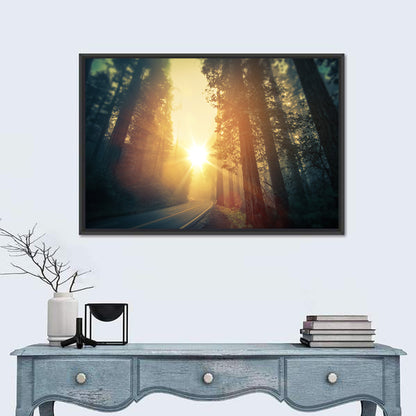 Misty Redwood Road with Golden Sunburst Wall Art