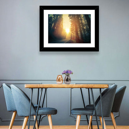 Misty Redwood Road with Golden Sunburst Wall Art