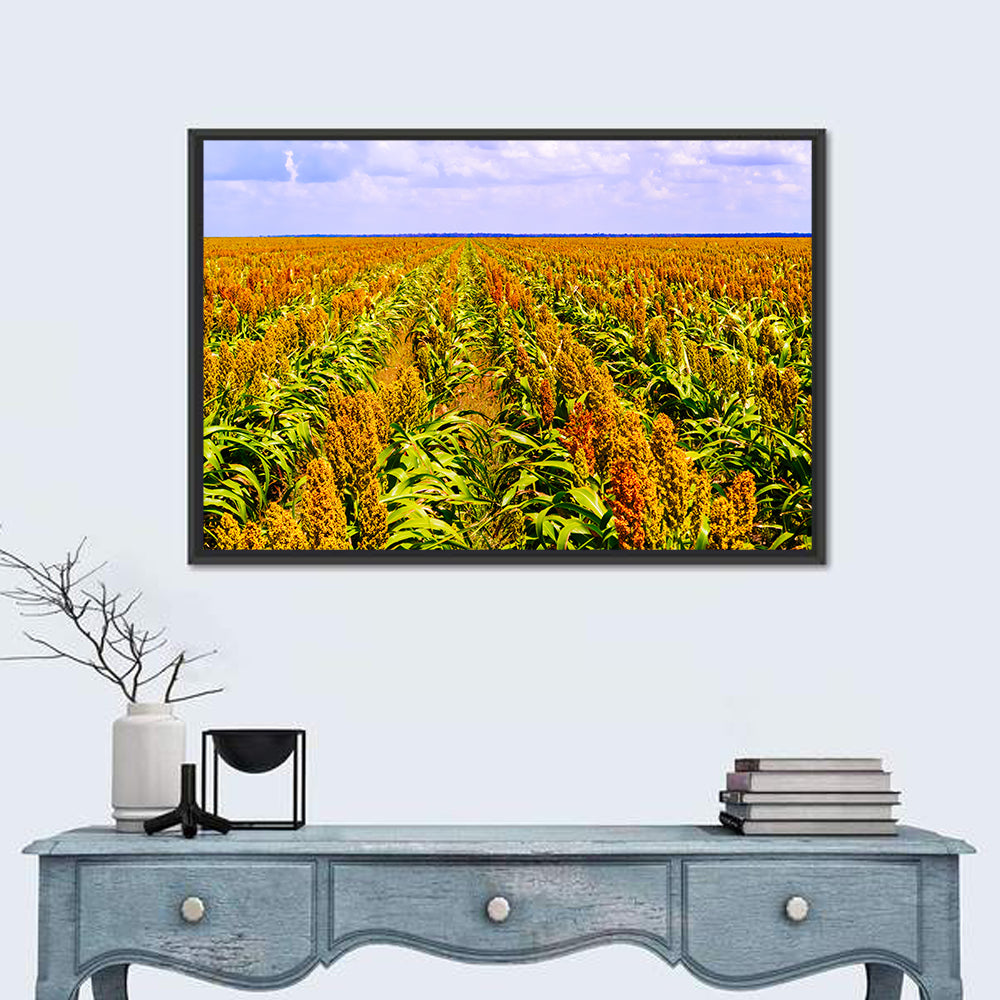 Sorghum Field Wall Art in a room, landscape