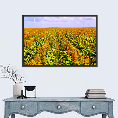 Sorghum Field Wall Art