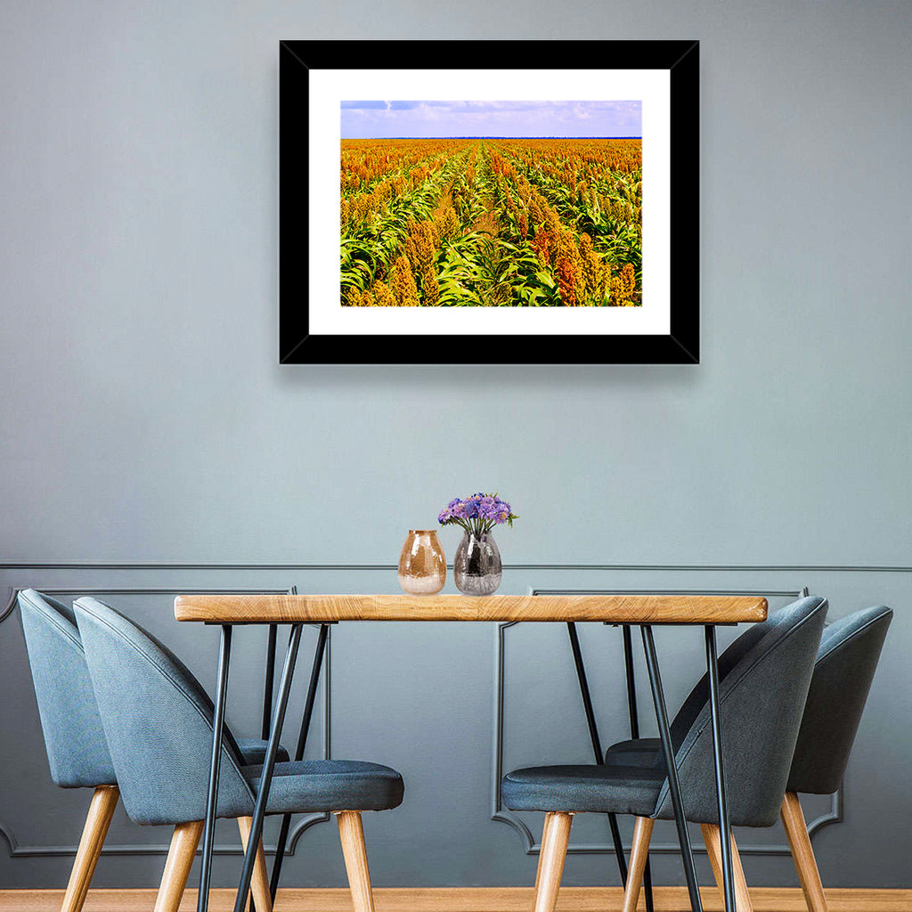 Sorghum Field Wall Art