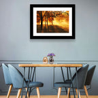 Autumn Sunbeams Through Fog Wall Art
