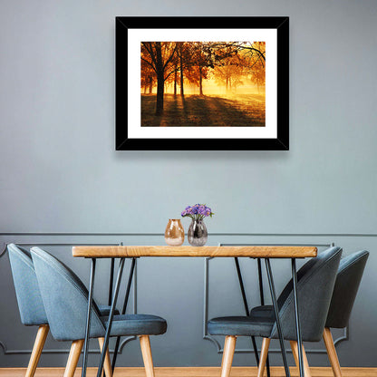 Autumn Sunbeams Through Fog Wall Art