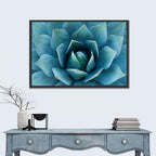 Spiral Agave Macro Wall Art