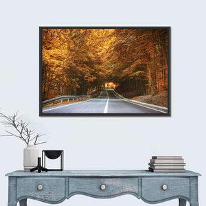 Dense Forest Road Wall Art