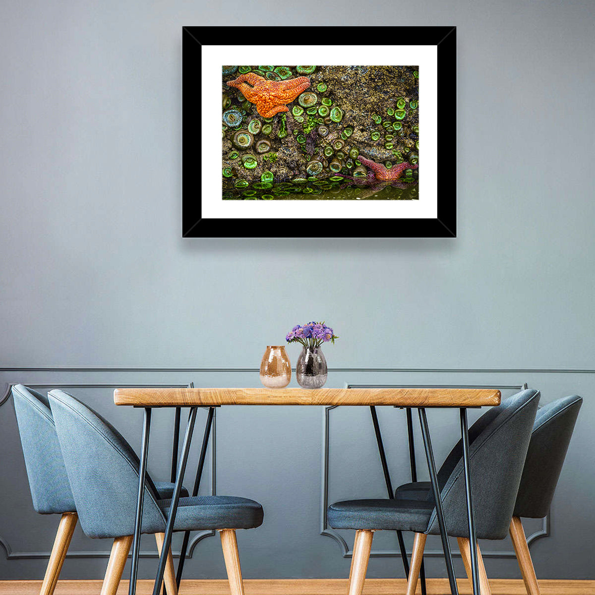 Orange Starfish Tide Pool Wall Art