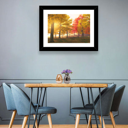 Foggy Autumn Forest Trees Wall Art