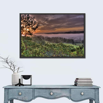 Misty Swedish Pine Valley Wall Art