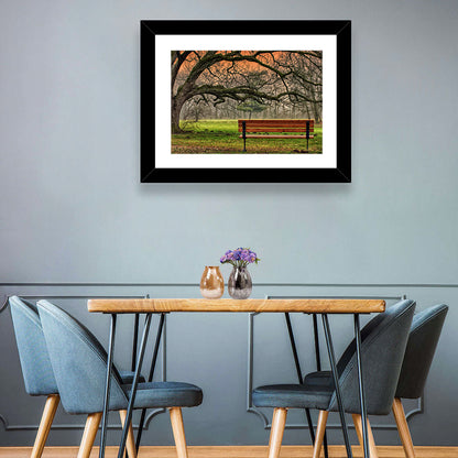 Misty Autumn Park Bench Wall Art