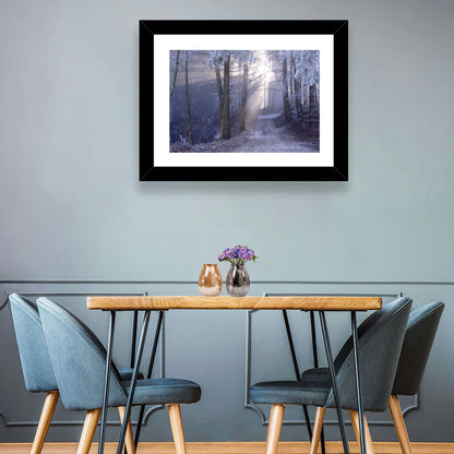 Frosted Forest Path at Dawn Wall Art