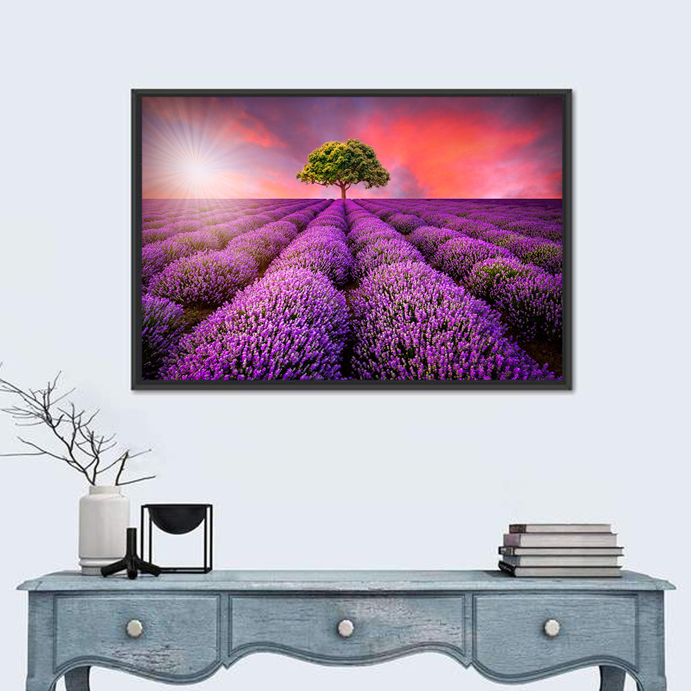 Sunset Over Lavender Fields Wall Art