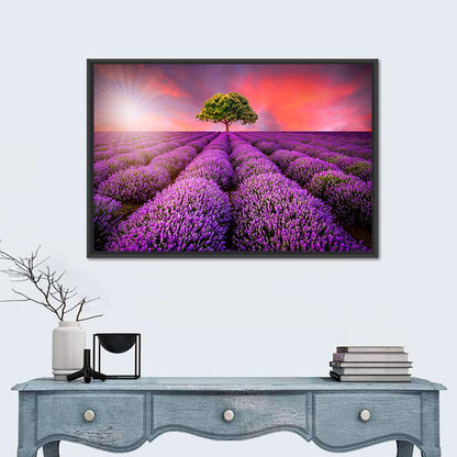 Sunset Over Lavender Fields Wall Art