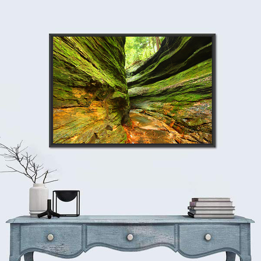 Turkey Run State Park Canyon Wall Art
