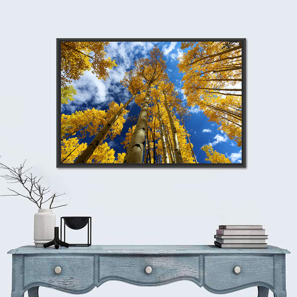 Aspen Trees Wall Art