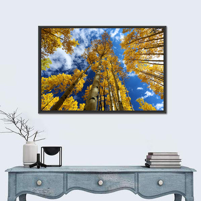 Aspen Trees Wall Art