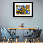 Golden Aspen Canopy View Wall Art