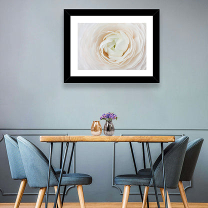 Peach Ranunculus Macro Bloom Wall Art