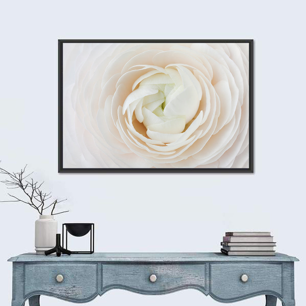 Peach Ranunculus Macro Bloom Wall Art