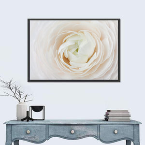 Peach Ranunculus Floral Wall Art