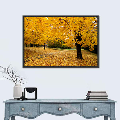 Baltimore Autumn Foliage Wall Art