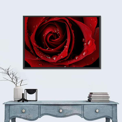Red Rose with Dew Drops Wall Art