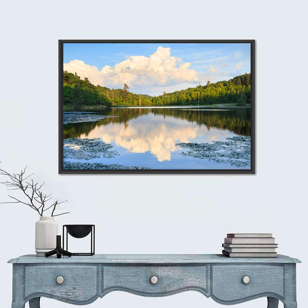 Bass Lake Reflection Wall Art in a room, landscape