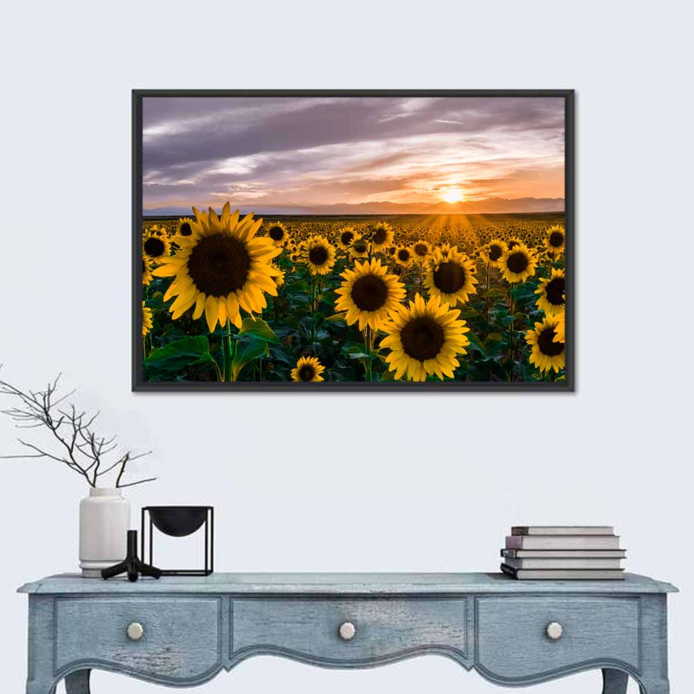 Sunflower Field at Sunset Wall Art
