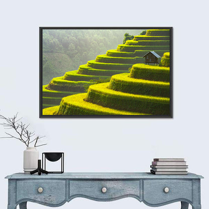 Golden Rice Terraces Wall Art
