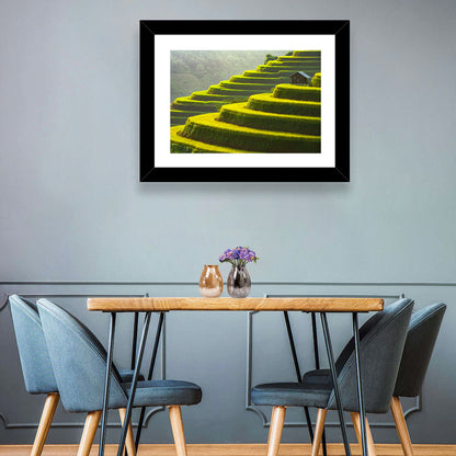 Golden Rice Terraces Wall Art