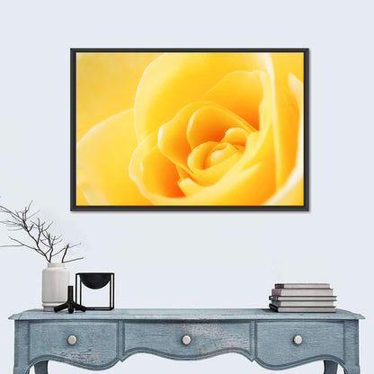 Soft-lit Yellow Rose Close-up Wall Art
