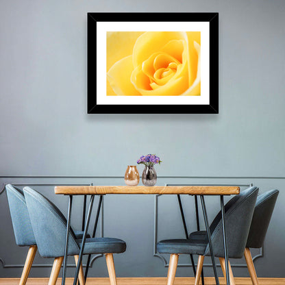 Soft-lit Yellow Rose Close-up Wall Art