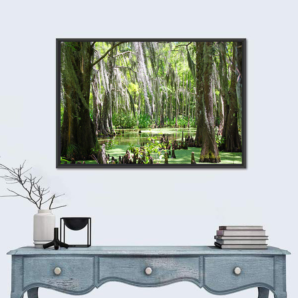 Louisiana Cypress Swamp Wall Art