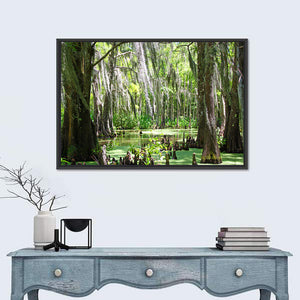 Louisiana Swamp Wall Art