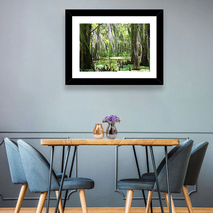 Louisiana Cypress Swamp Wall Art