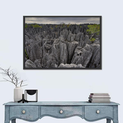 Tsingy De Bemaraha Pinnacles Wall Art