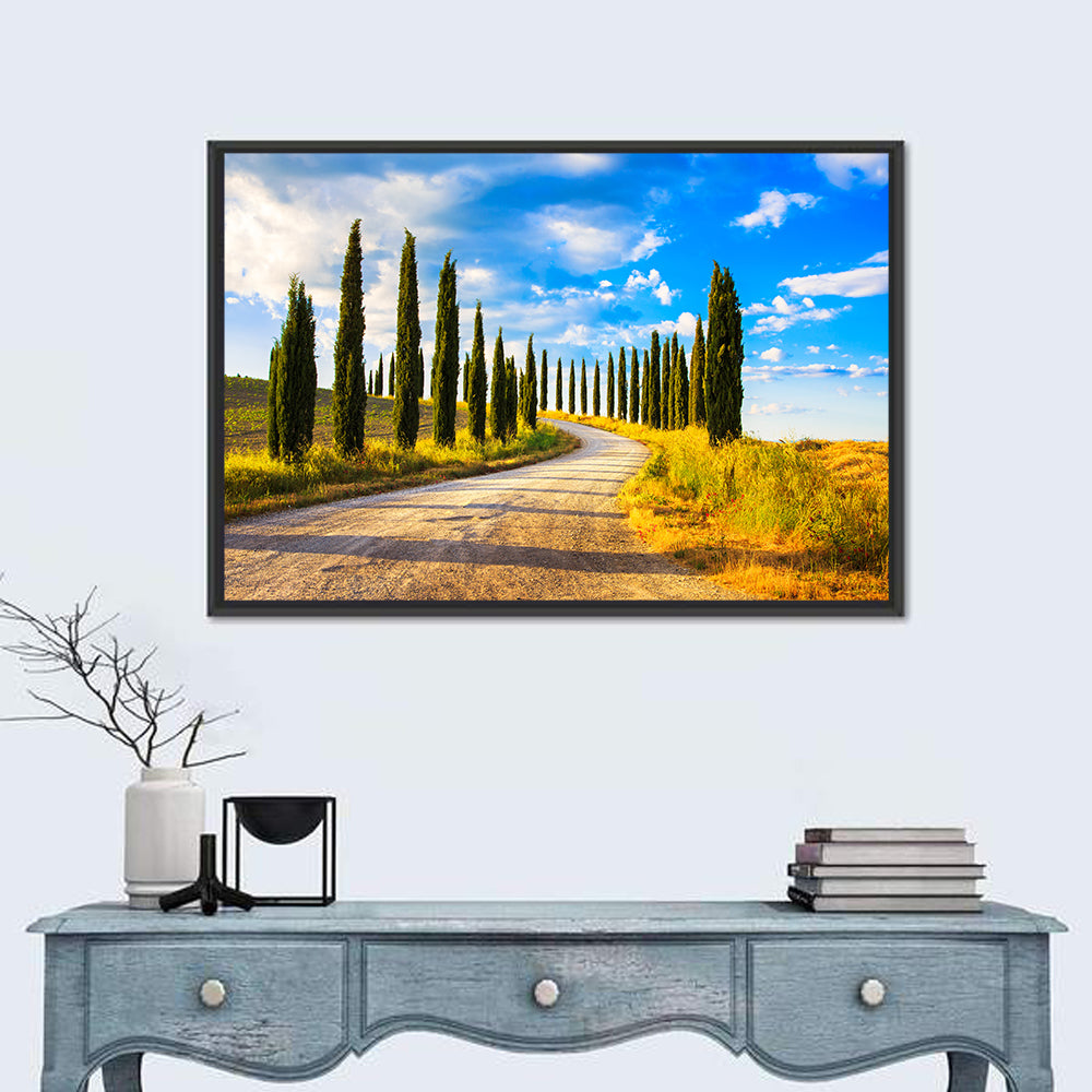 Sunlit Tuscany Cypress Road Wall Art