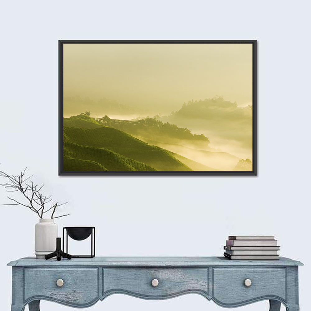 Tea Plantation Morning Mist Wall Art