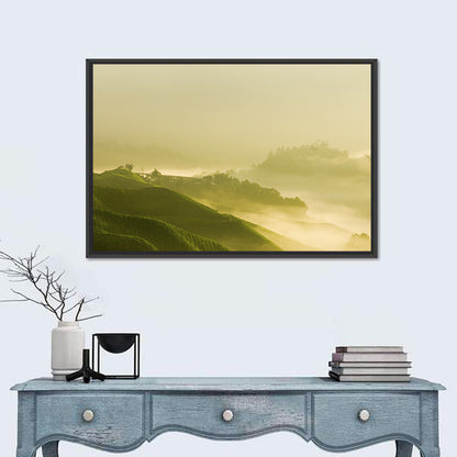 Tea Plantation Morning Mist Wall Art