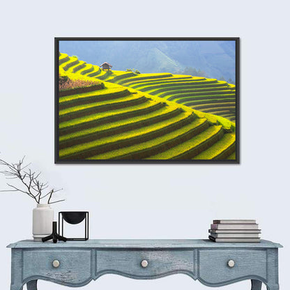 Mu Cang Chai Rice Terraces Wall Art