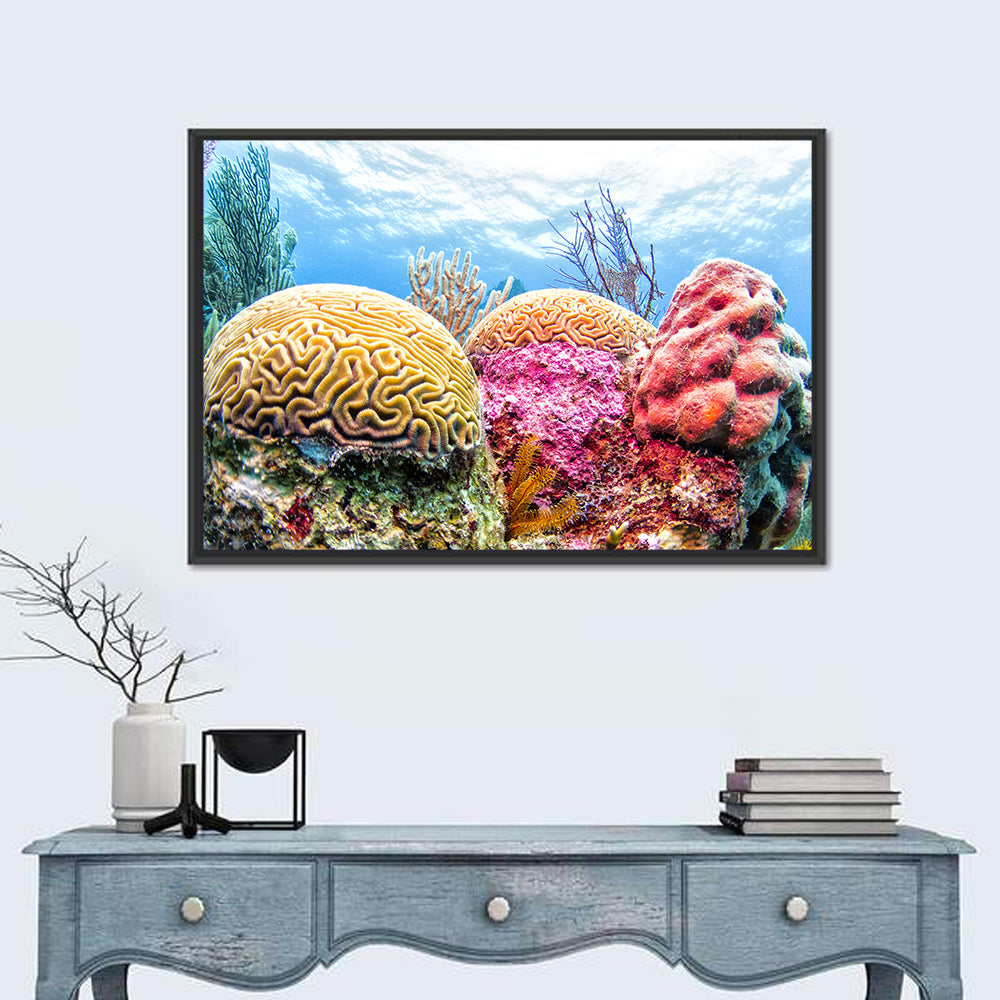 Vibrant Brain Coral Reef Wall Art