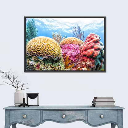 Vibrant Brain Coral Reef Wall Art